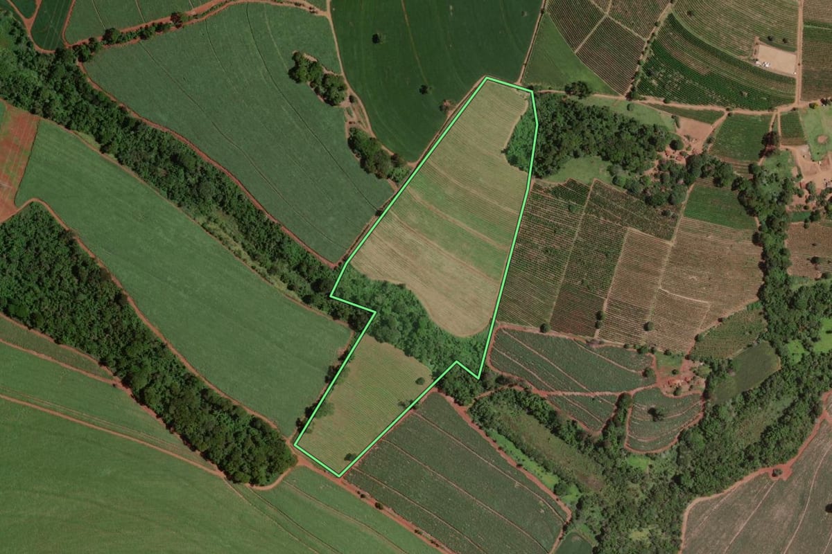 Imagem de satélite do imóvel rural em Batatais (SP), com o contorno declarado no CAR desenhado por cima.