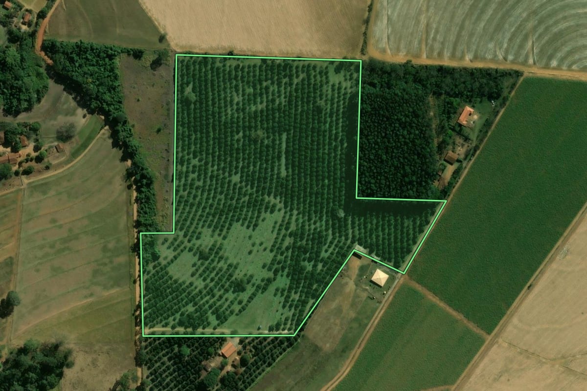 Imagem de satélite do imóvel rural em Batatais (SP), com o contorno declarado no CAR desenhado por cima.