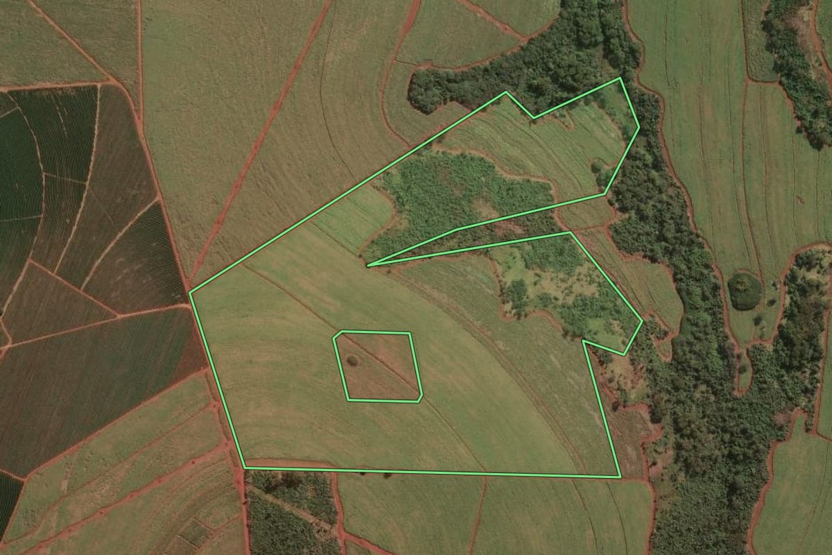 Imagem de satélite do imóvel rural em Batatais (SP), com o contorno declarado no CAR desenhado por cima.