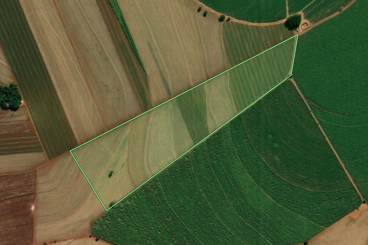 Imagem de satélite do imóvel rural em Batatais (SP), com o contorno declarado no CAR desenhado por cima.