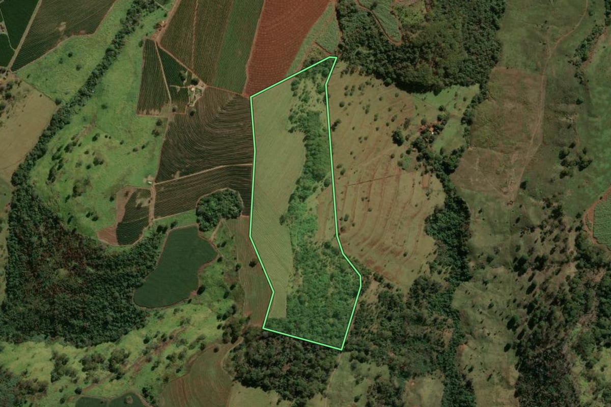 Imagem de satélite do imóvel rural em Batatais (SP), com o contorno declarado no CAR desenhado por cima.