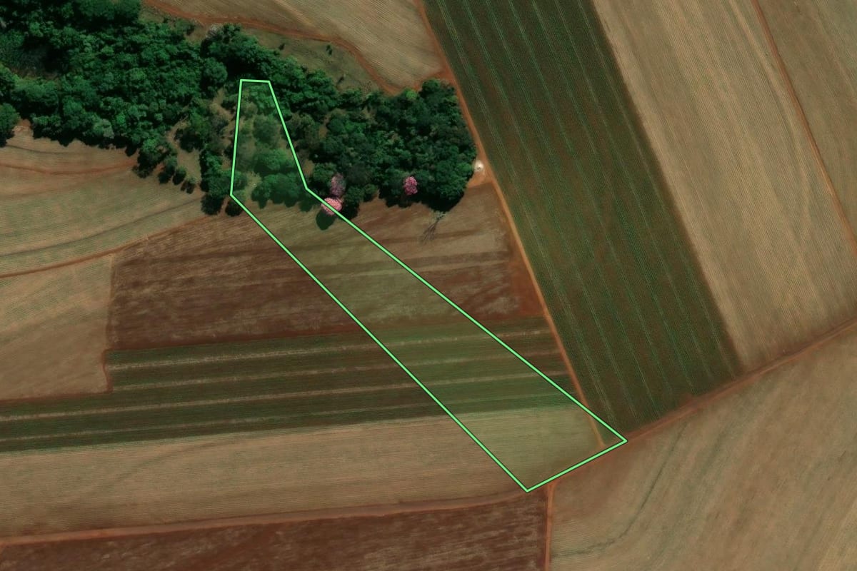 Imagem de satélite do imóvel rural em Batatais (SP), com o contorno declarado no CAR desenhado por cima.