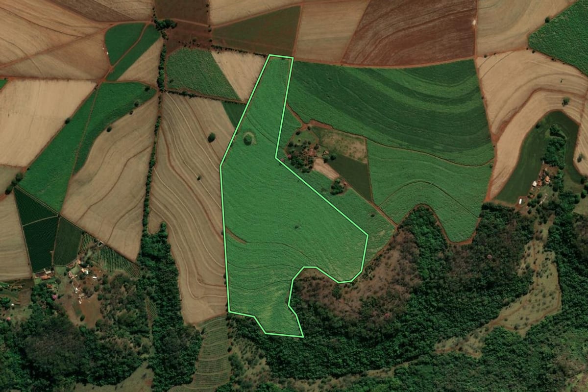 Imagem de satélite do imóvel rural em Batatais (SP), com o contorno declarado no CAR desenhado por cima.