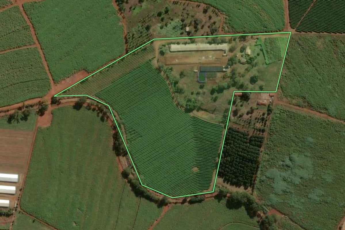 Imagem de satélite do imóvel rural em Batatais (SP), com o contorno declarado no CAR desenhado por cima.