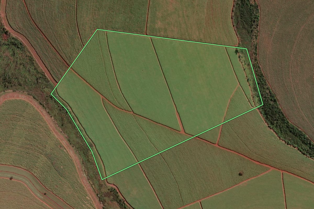 Imagem de satélite do imóvel rural em Batatais (SP), com o contorno declarado no CAR desenhado por cima.