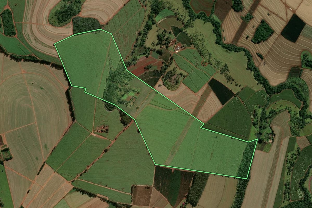 Imagem de satélite do imóvel rural em Batatais (SP), com o contorno declarado no CAR desenhado por cima.