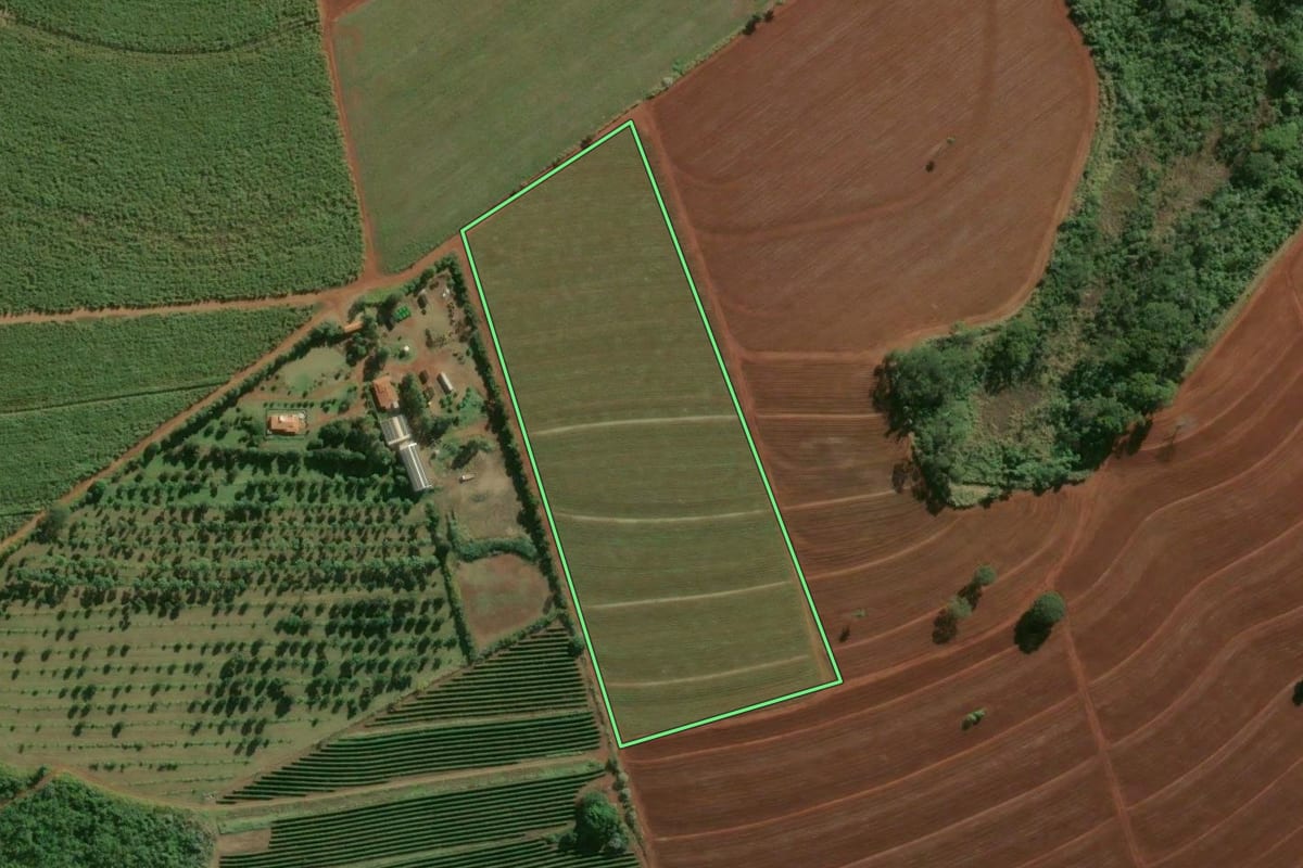 Imagem de satélite do imóvel rural em Batatais (SP), com o contorno declarado no CAR desenhado por cima.