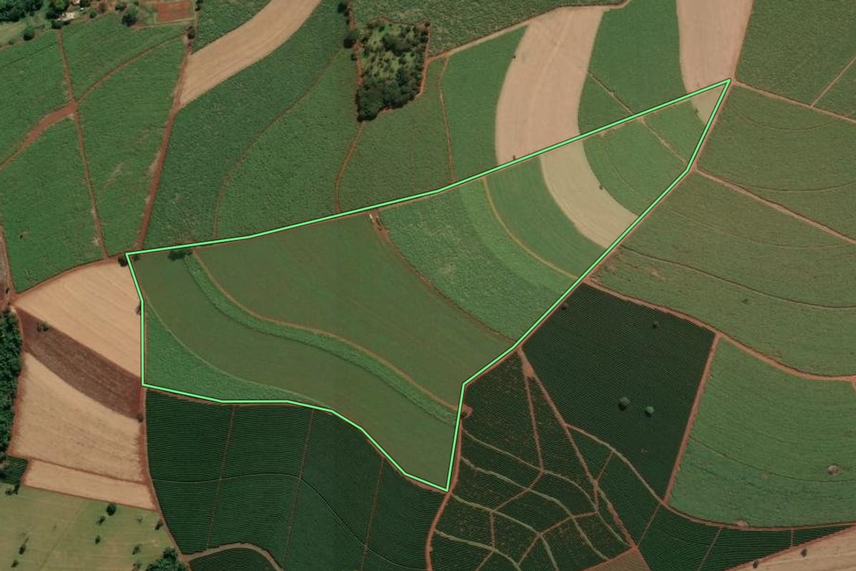 Imagem de satélite do imóvel rural em Batatais (SP), com o contorno declarado no CAR desenhado por cima.