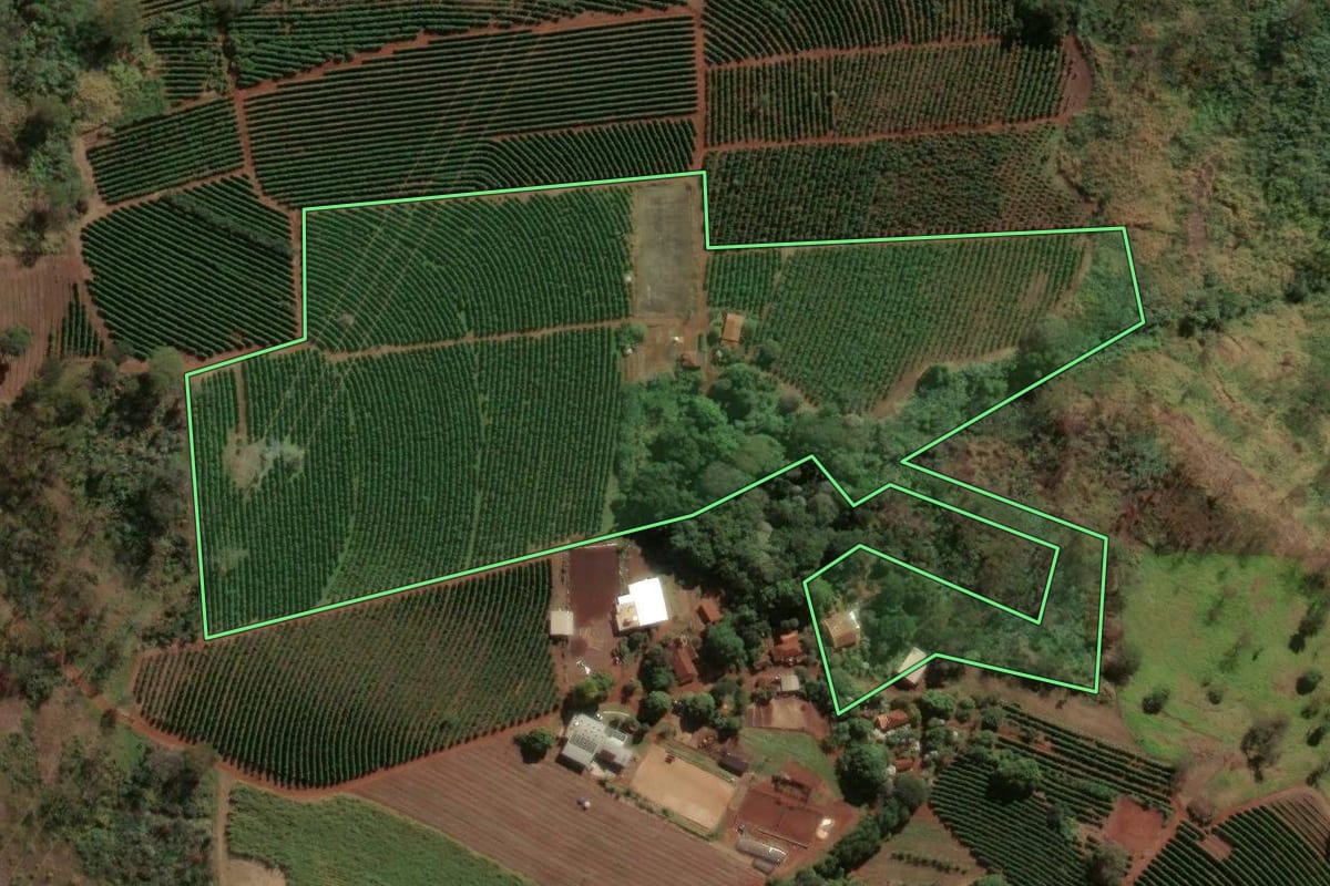 Imagem de satélite do imóvel rural em Batatais (SP), com o contorno declarado no CAR desenhado por cima.
