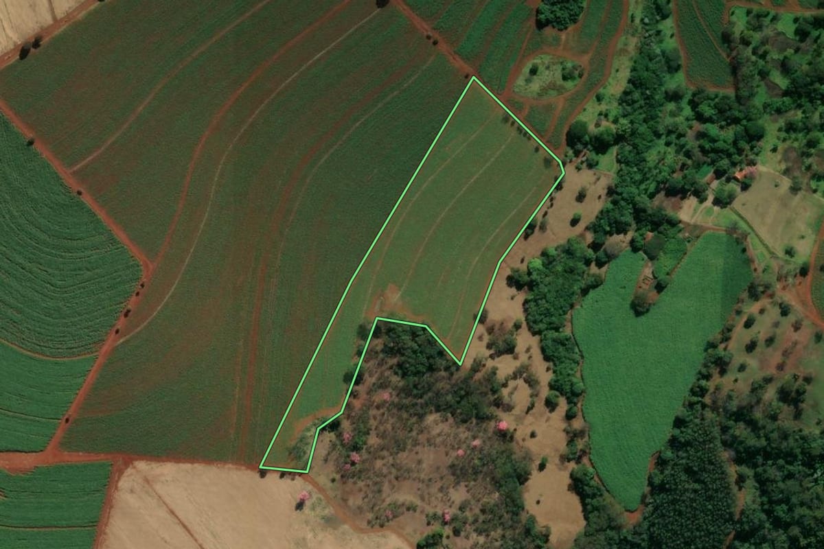 Imagem de satélite do imóvel rural em Batatais (SP), com o contorno declarado no CAR desenhado por cima.