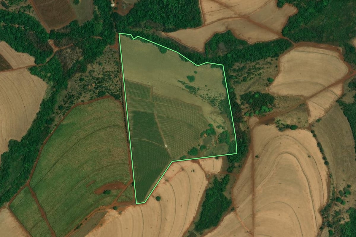 Imagem de satélite do imóvel rural em Batatais (SP), com o contorno declarado no CAR desenhado por cima.