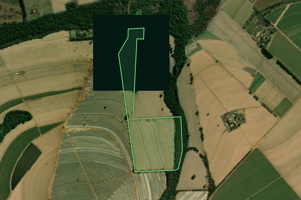 Imagem de satélite do imóvel rural em Batatais (SP), com o contorno declarado no CAR desenhado por cima.