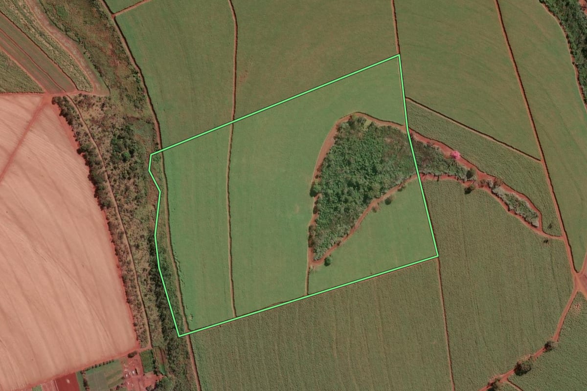Imagem de satélite do imóvel rural em Batatais (SP), com o contorno declarado no CAR desenhado por cima.