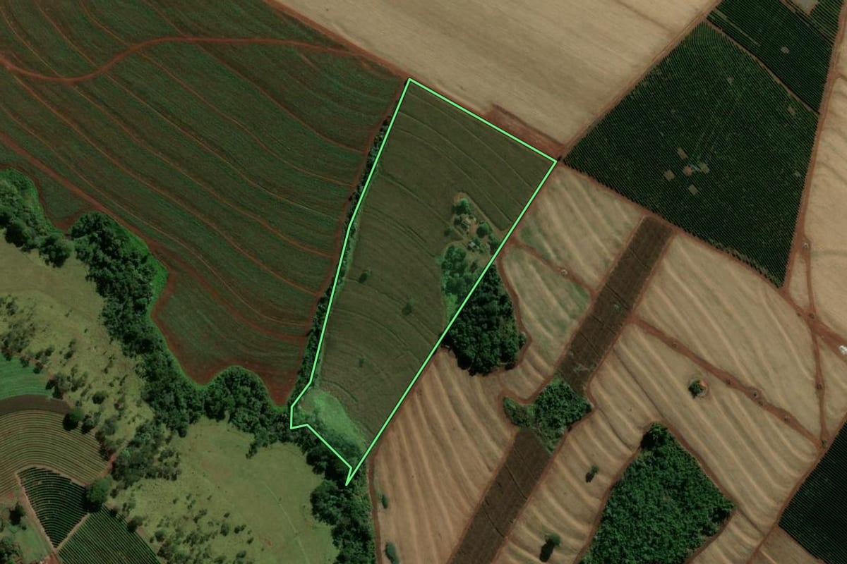 Imagem de satélite do imóvel rural em Batatais (SP), com o contorno declarado no CAR desenhado por cima.