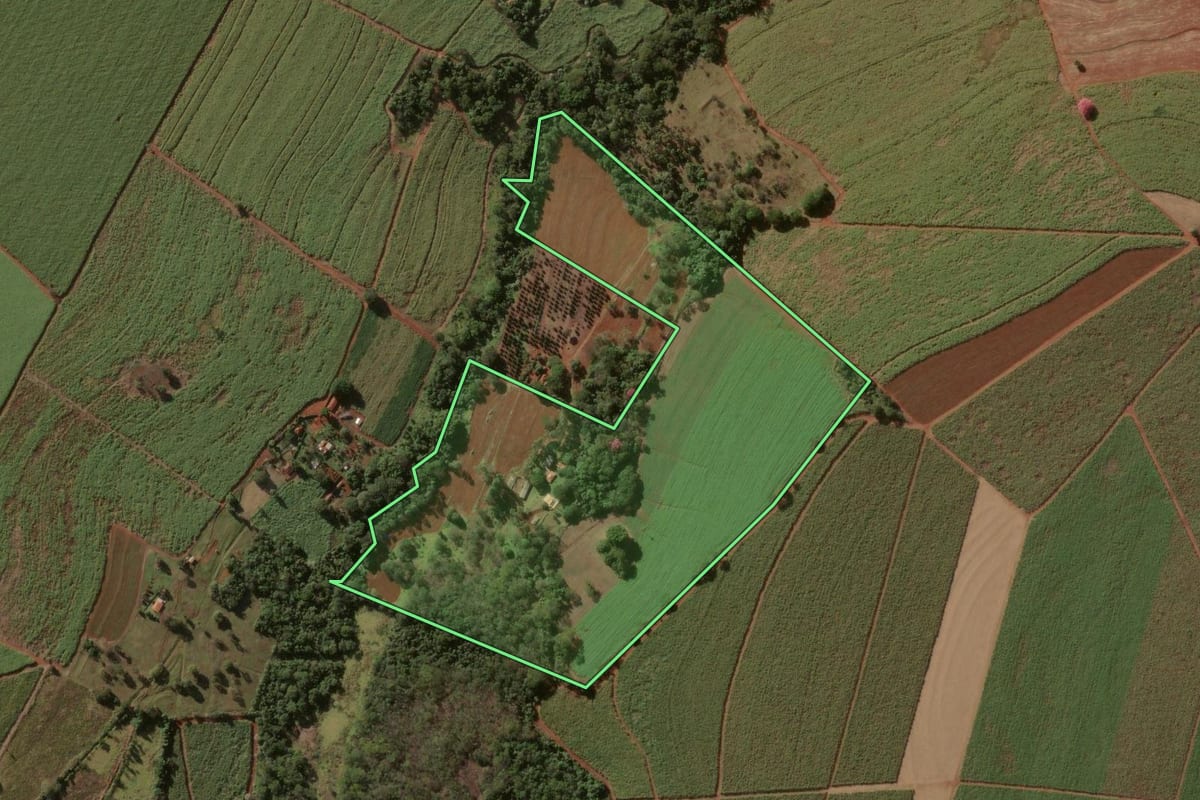 Imagem de satélite do imóvel rural em Batatais (SP), com o contorno declarado no CAR desenhado por cima.