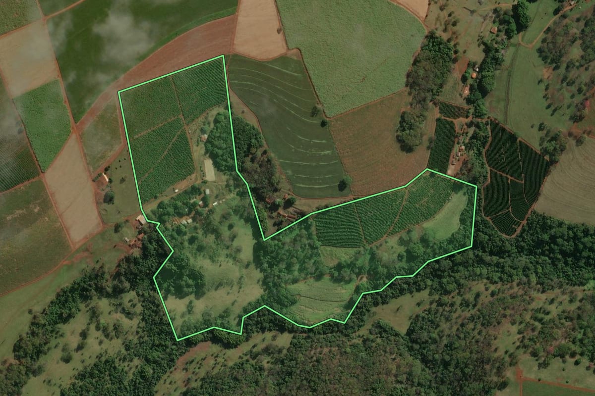 Imagem de satélite do imóvel rural em Batatais (SP), com o contorno declarado no CAR desenhado por cima.