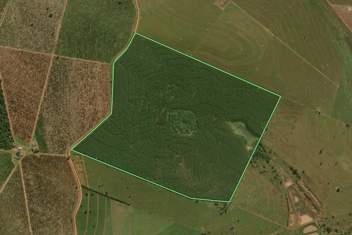 Imagem de satélite do imóvel rural em Bauru (SP), com o contorno declarado no CAR desenhado por cima.