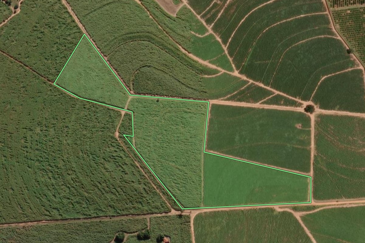 Imagem de satélite do imóvel rural em Bebedouro (SP), com o contorno declarado no CAR desenhado por cima.