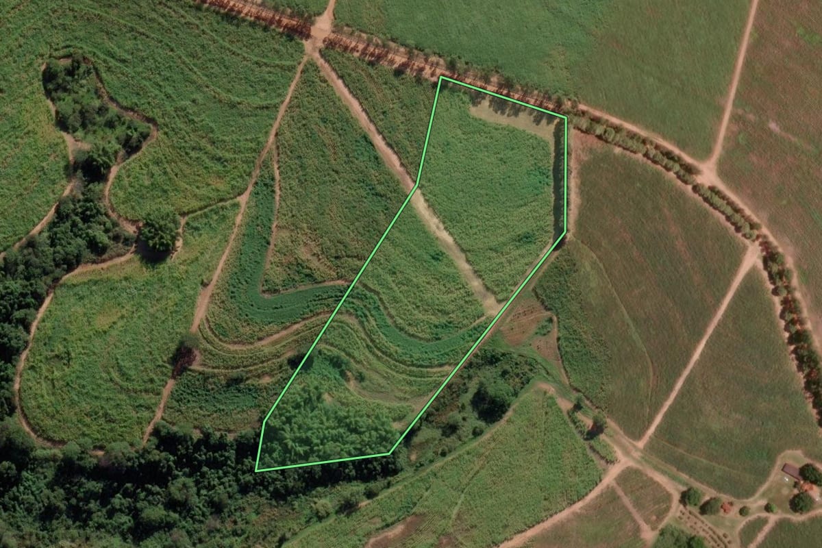 Imagem de satélite do imóvel rural em Bebedouro (SP), com o contorno declarado no CAR desenhado por cima.