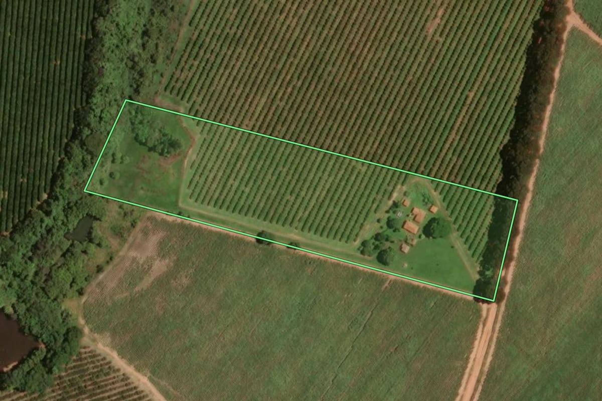 Imagem de satélite do imóvel rural em Bebedouro (SP), com o contorno declarado no CAR desenhado por cima.