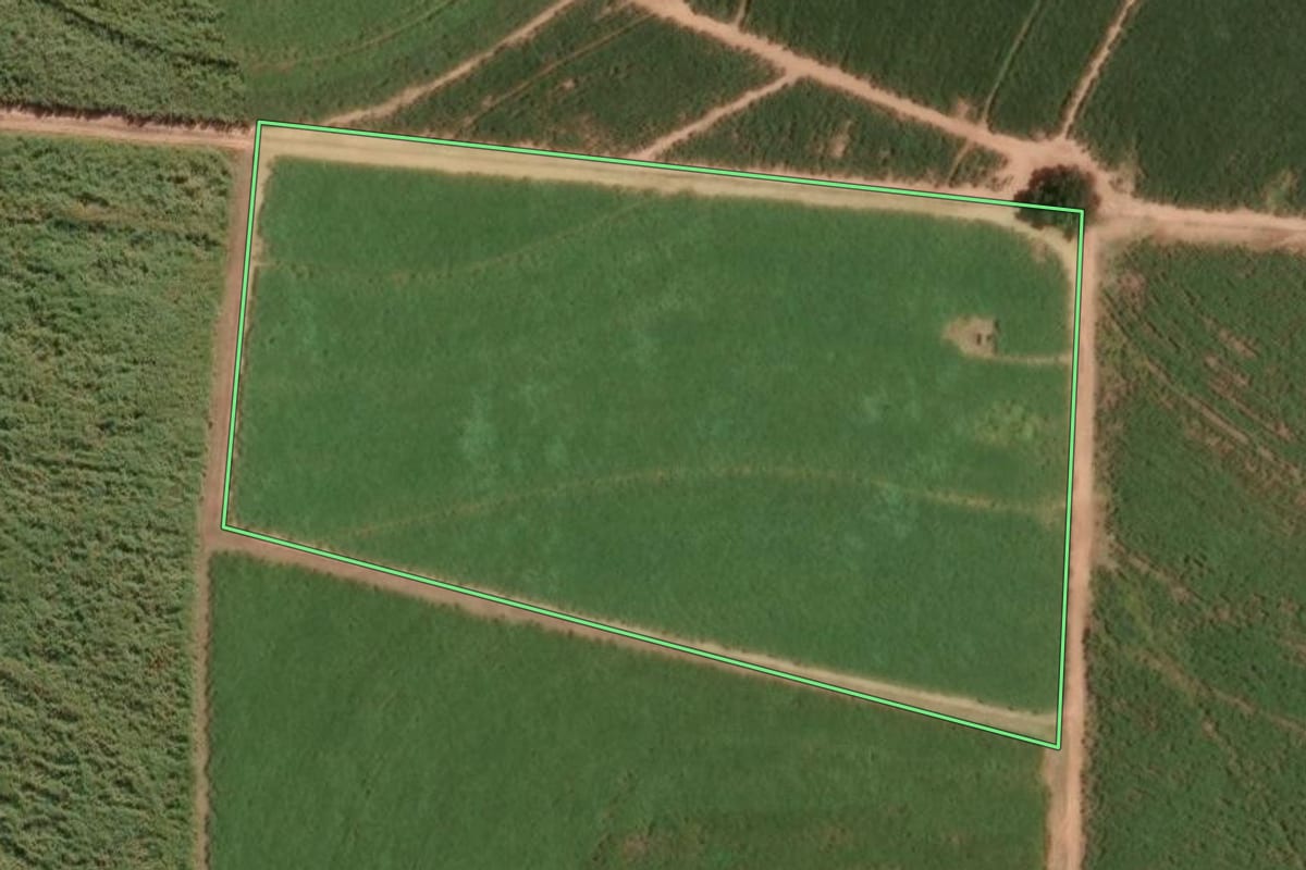 Imagem de satélite do imóvel rural em Bebedouro (SP), com o contorno declarado no CAR desenhado por cima.