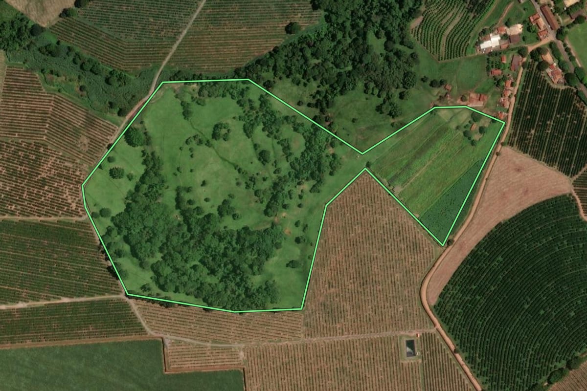 Imagem de satélite do imóvel rural em Bebedouro (SP), com o contorno declarado no CAR desenhado por cima.