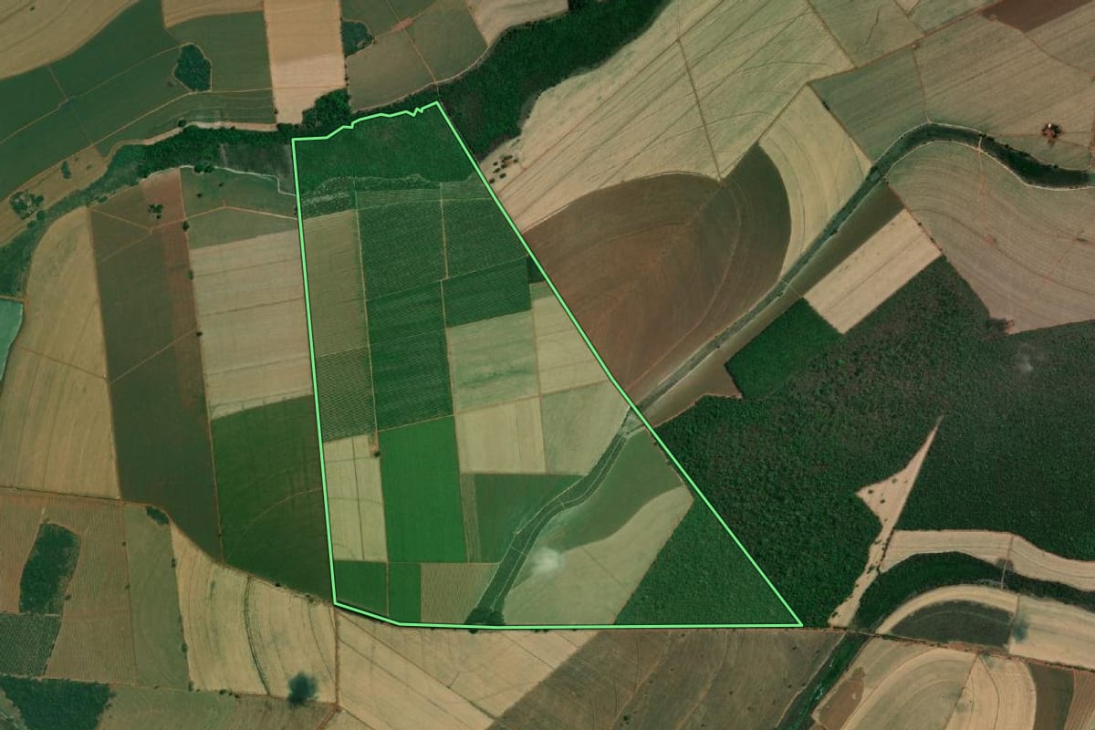 Imagem de satélite do imóvel rural em Bebedouro (SP), com o contorno declarado no CAR desenhado por cima.
