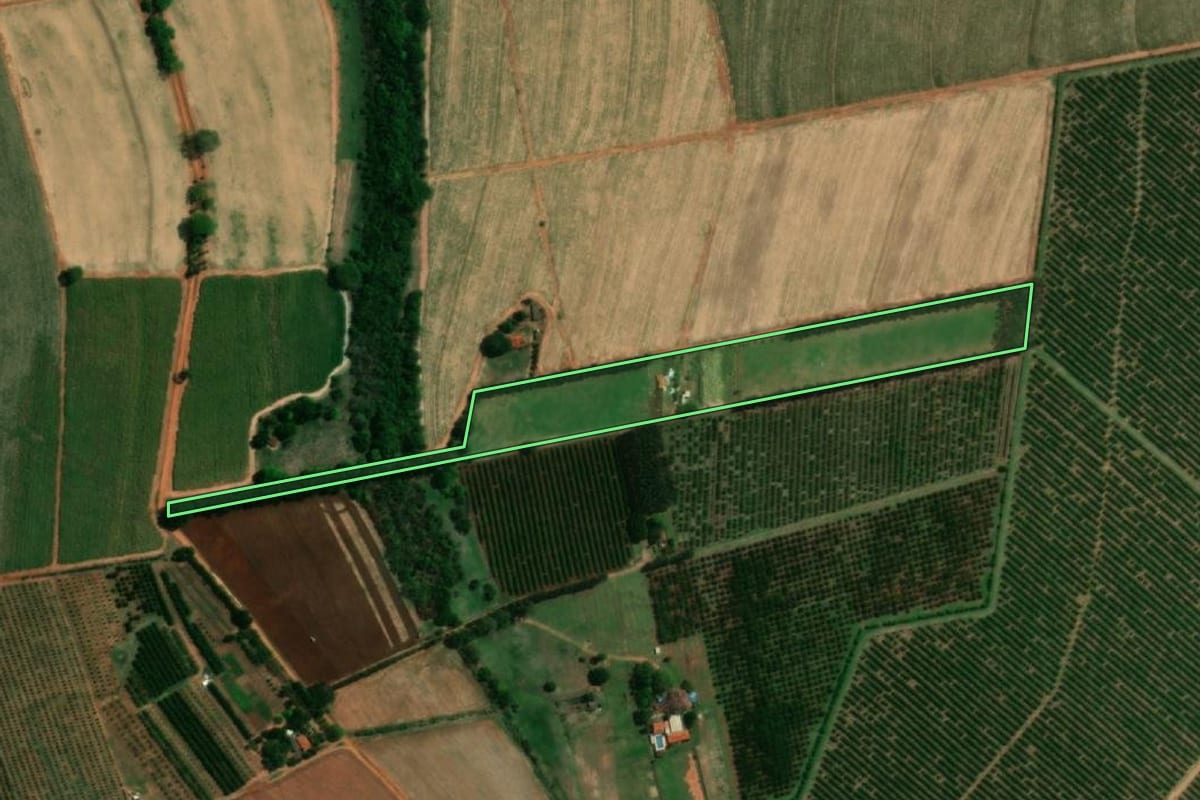 Imagem de satélite do imóvel rural em Bebedouro (SP), com o contorno declarado no CAR desenhado por cima.