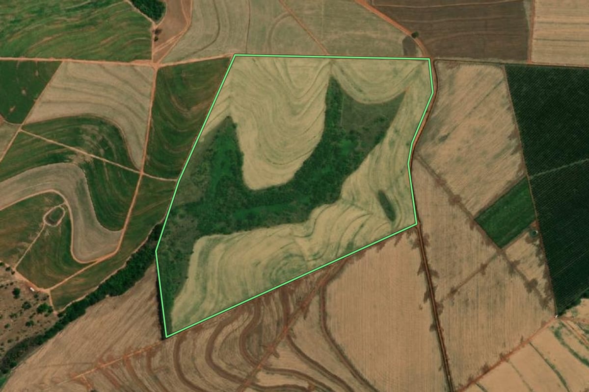 Imagem de satélite do imóvel rural em Bebedouro (SP), com o contorno declarado no CAR desenhado por cima.