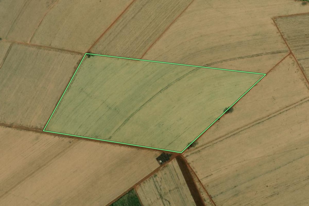 Imagem de satélite do imóvel rural em Bebedouro (SP), com o contorno declarado no CAR desenhado por cima.