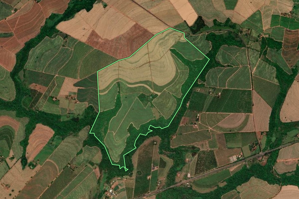 Imagem de satélite do imóvel rural em Bebedouro (SP), com o contorno declarado no CAR desenhado por cima.