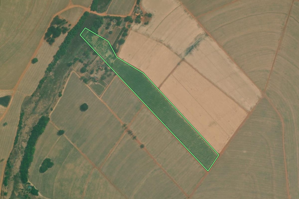 Imagem de satélite do imóvel rural em Bebedouro (SP), com o contorno declarado no CAR desenhado por cima.