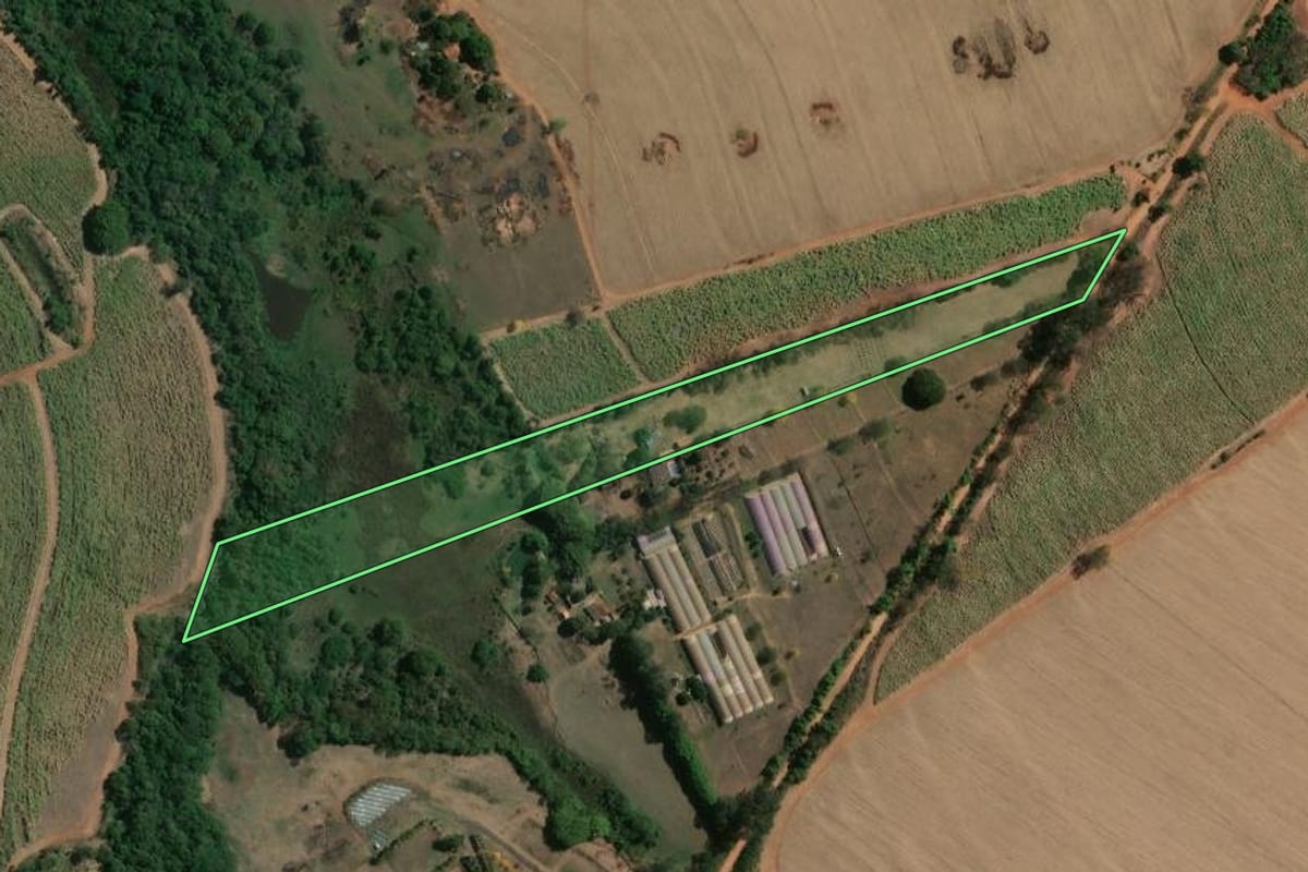 Imagem de satélite do imóvel rural em Bebedouro (SP), com o contorno declarado no CAR desenhado por cima.