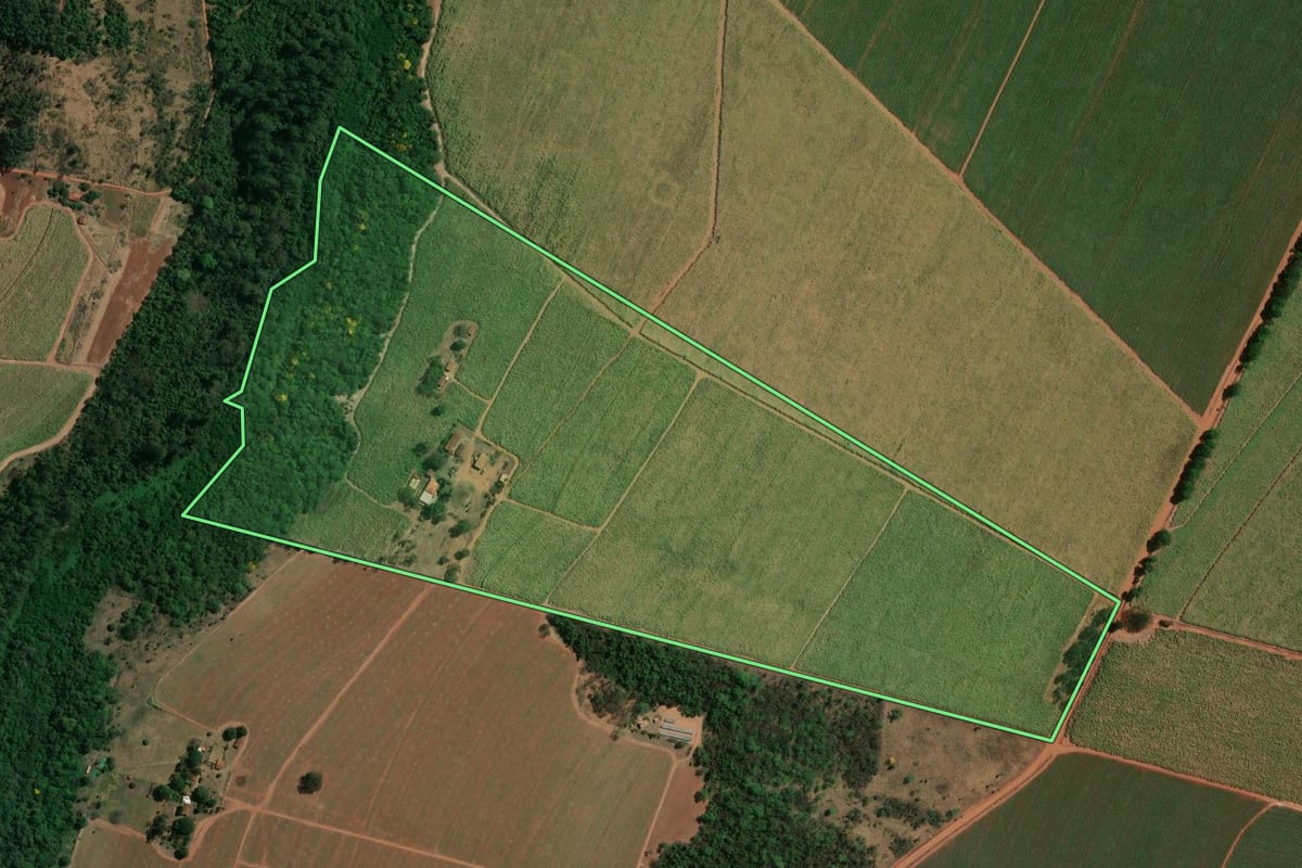 Imagem de satélite do imóvel rural em Bebedouro (SP), com o contorno declarado no CAR desenhado por cima.