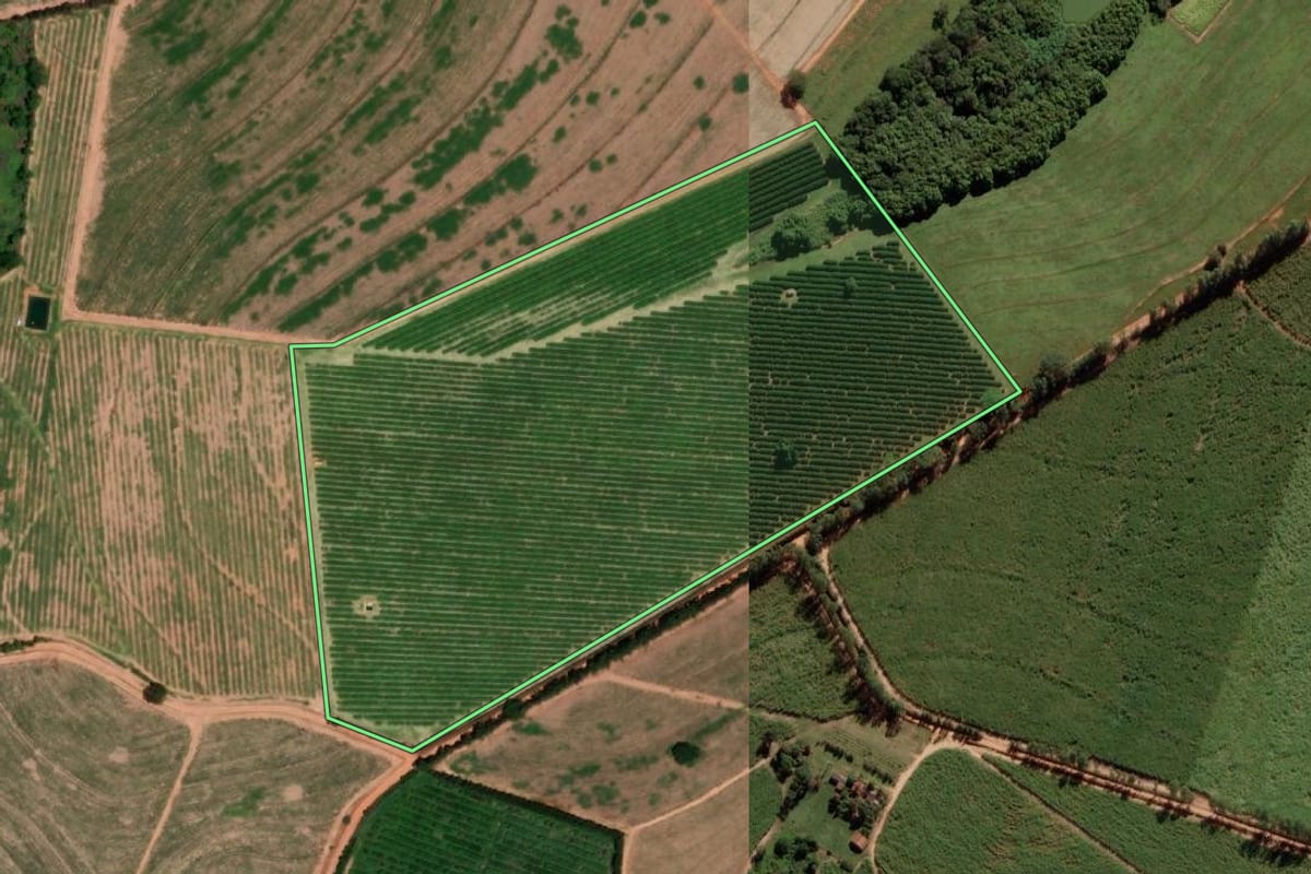 Imagem de satélite do imóvel rural em Bebedouro (SP), com o contorno declarado no CAR desenhado por cima.