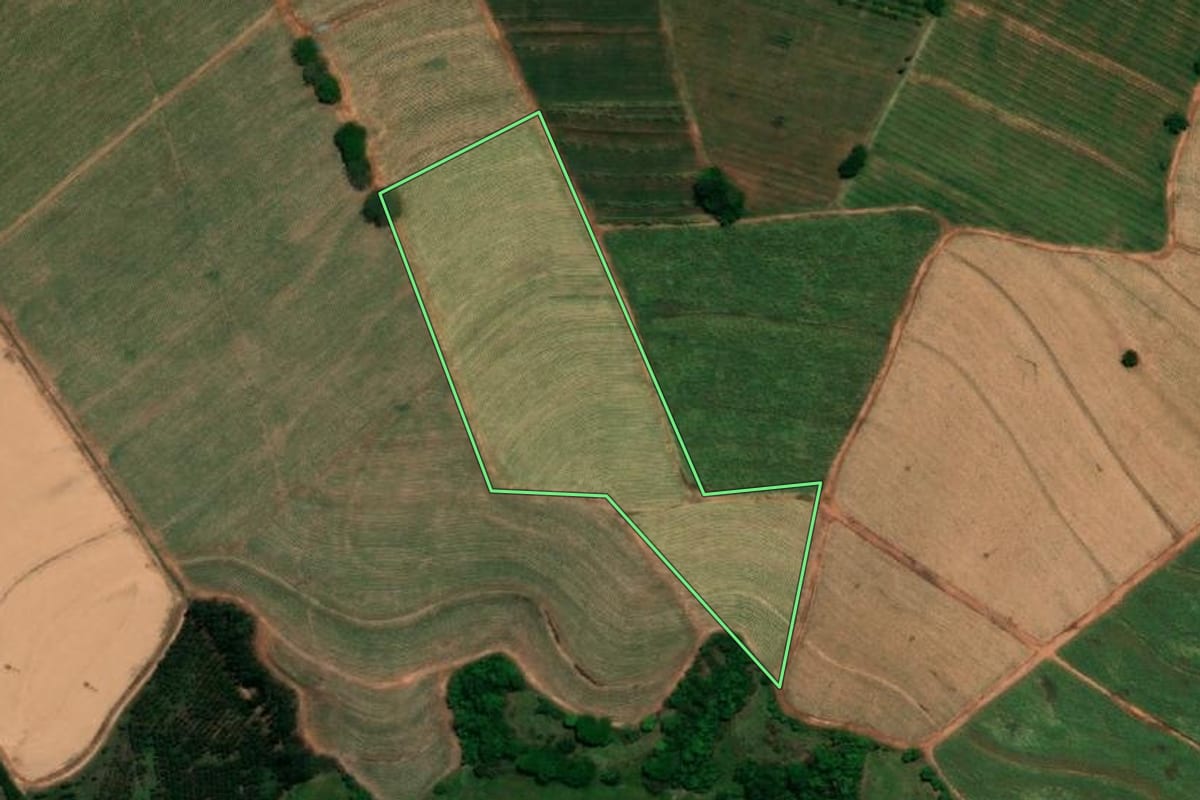 Imagem de satélite do imóvel rural em Bebedouro (SP), com o contorno declarado no CAR desenhado por cima.