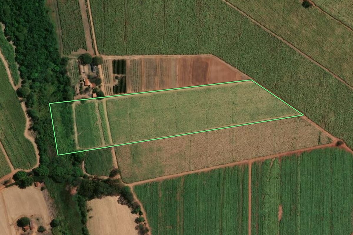 Imagem de satélite do imóvel rural em Bebedouro (SP), com o contorno declarado no CAR desenhado por cima.