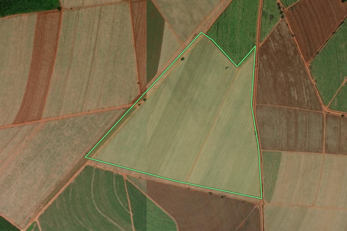 Imagem de satélite do imóvel rural em Bebedouro (SP), com o contorno declarado no CAR desenhado por cima.