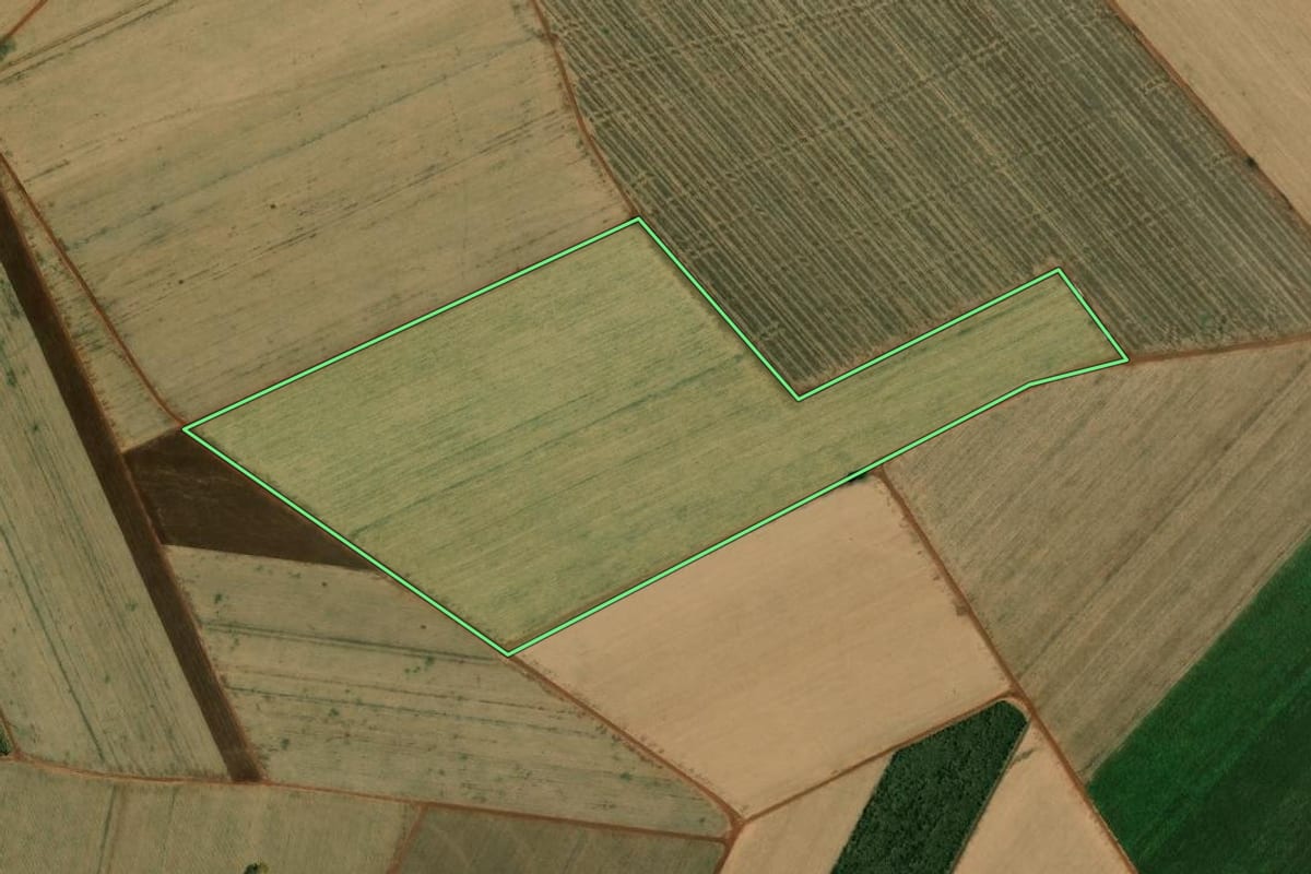 Imagem de satélite do imóvel rural em Bebedouro (SP), com o contorno declarado no CAR desenhado por cima.