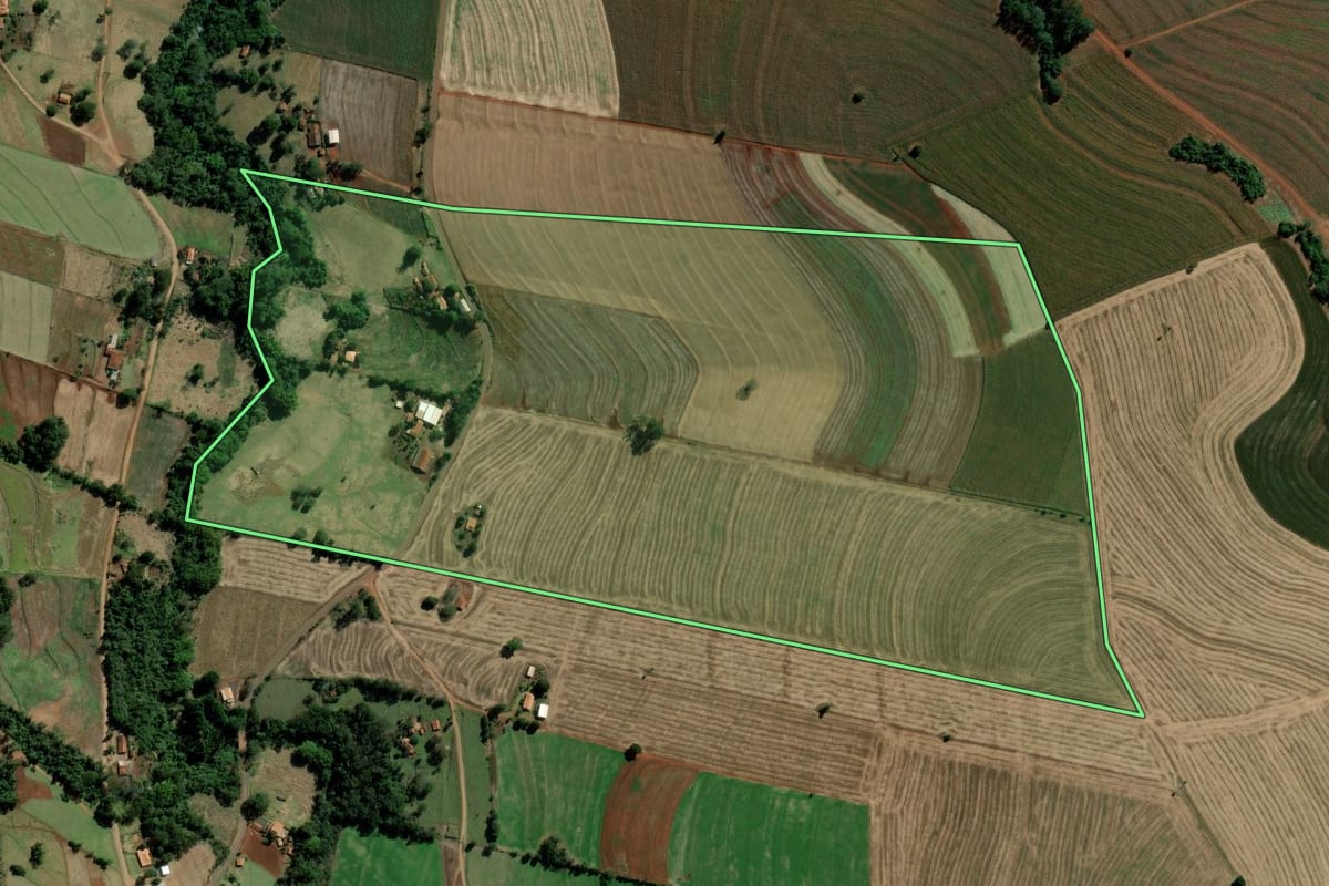Imagem de satélite do imóvel rural em Bernardino de Campos (SP), com o contorno declarado no CAR desenhado por cima.