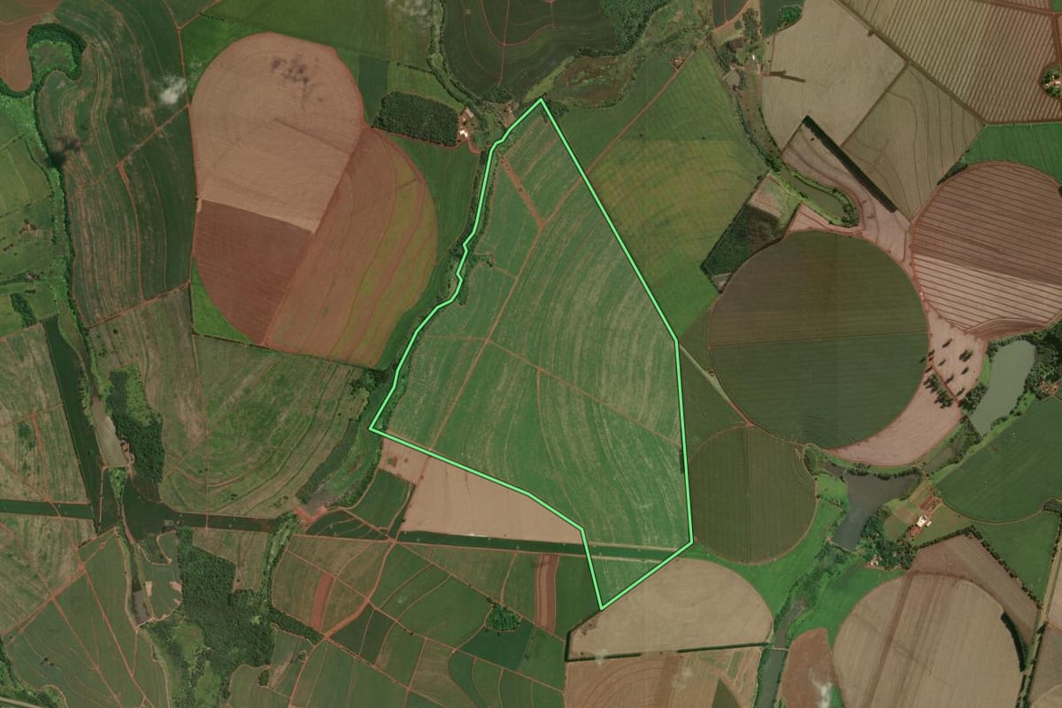 Imagem de satélite do imóvel rural em Bernardino de Campos (SP), com o contorno declarado no CAR desenhado por cima.