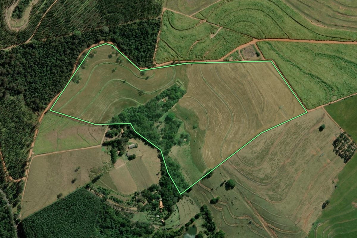 Imagem de satélite do imóvel rural em Bernardino de Campos (SP), com o contorno declarado no CAR desenhado por cima.