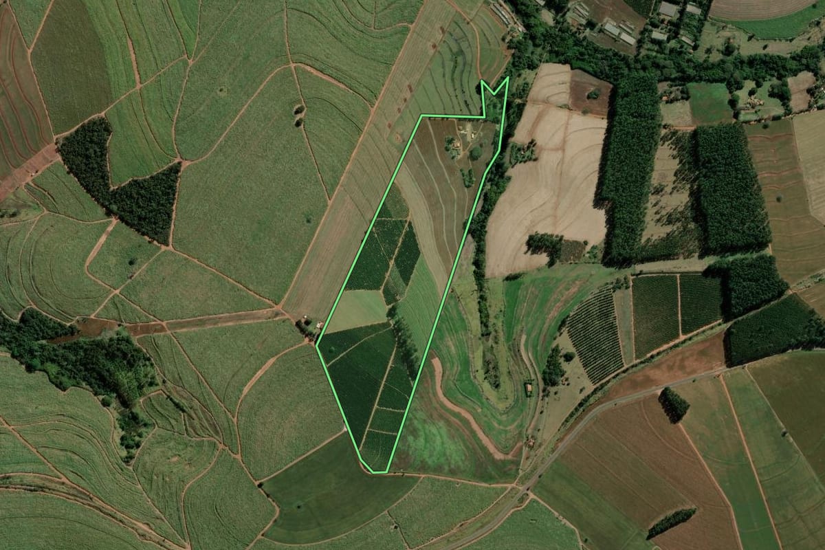 Imagem de satélite do imóvel rural em Bernardino de Campos (SP), com o contorno declarado no CAR desenhado por cima.