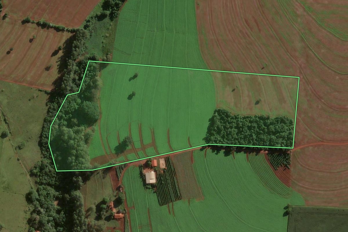 Imagem de satélite do imóvel rural em Bernardino de Campos (SP), com o contorno declarado no CAR desenhado por cima.