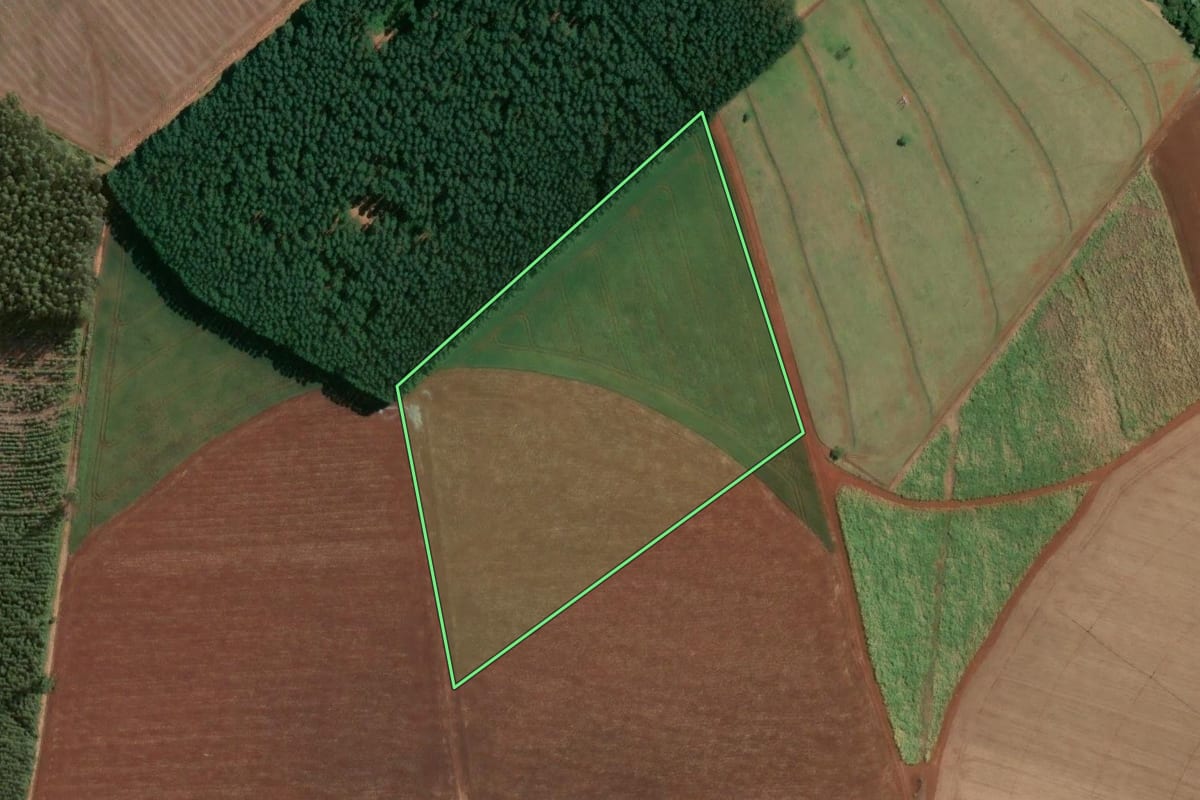 Imagem de satélite do imóvel rural em Bernardino de Campos (SP), com o contorno declarado no CAR desenhado por cima.