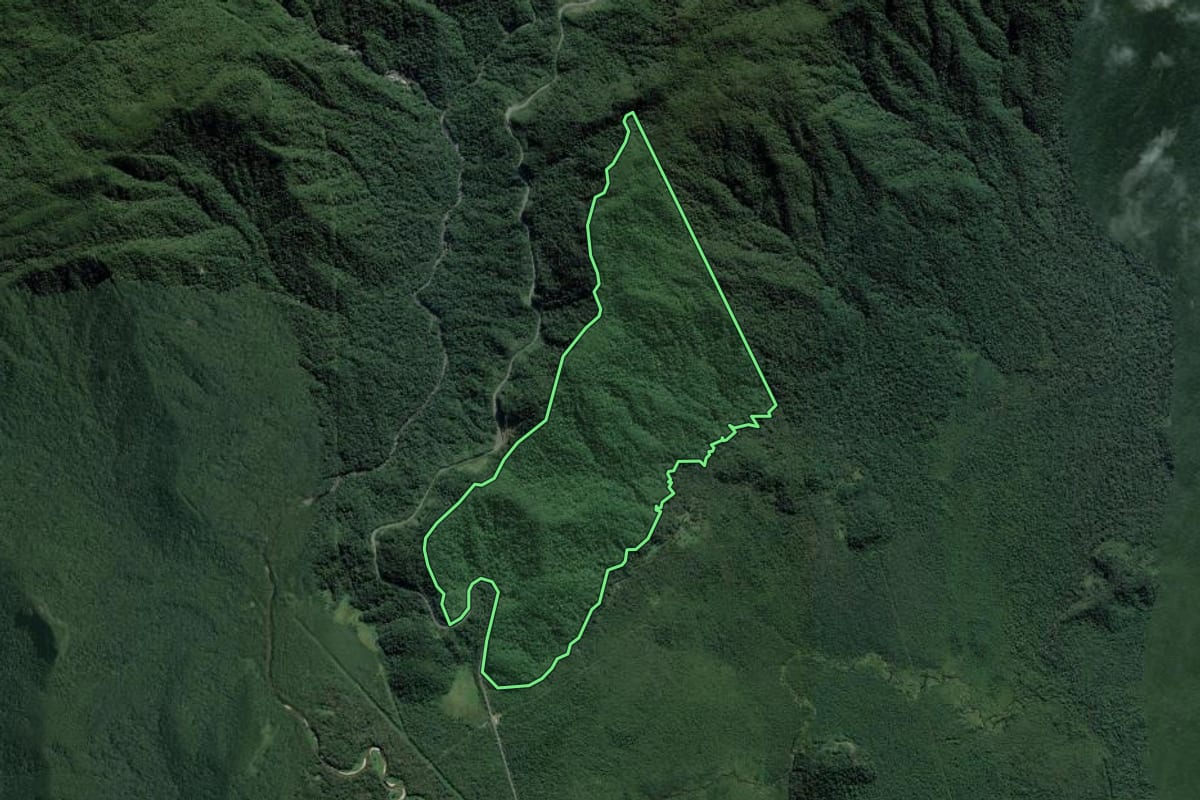 Imagem de satélite do imóvel rural em Bertioga (SP), com o contorno declarado no CAR desenhado por cima.