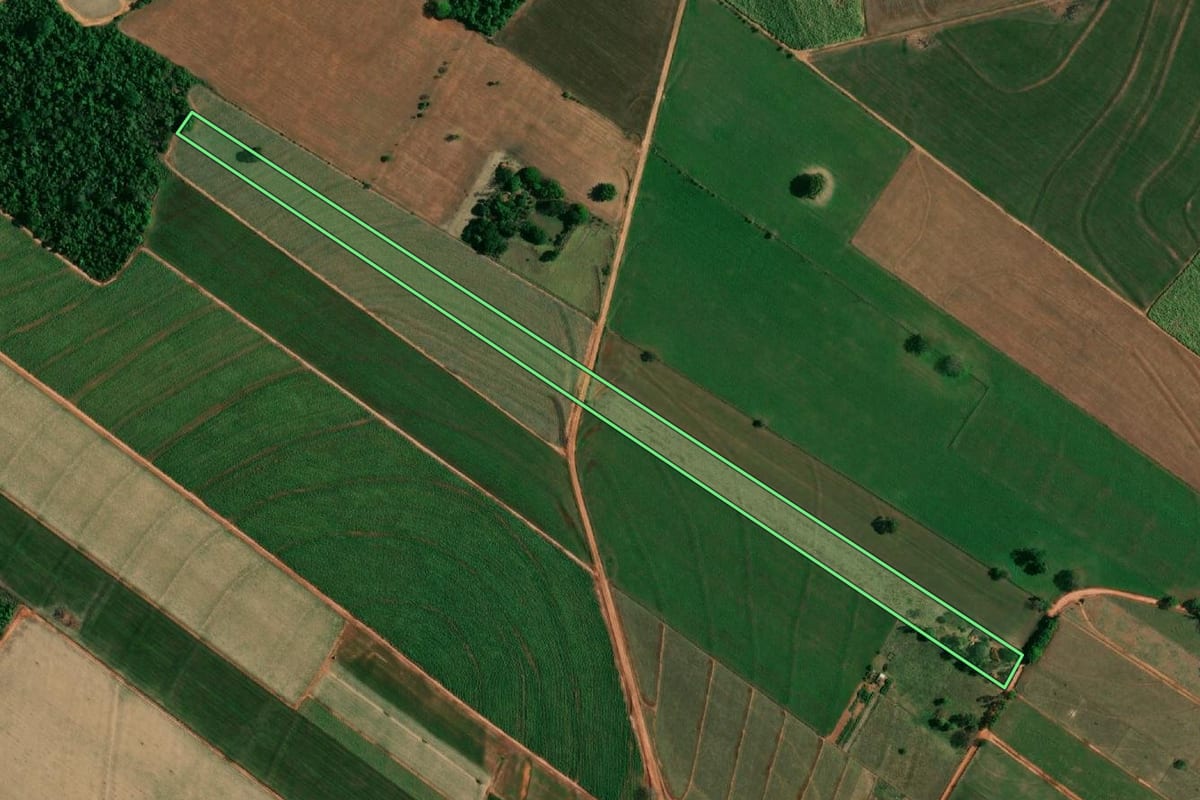 Imagem de satélite do imóvel rural em Birigui (SP), com o contorno declarado no CAR desenhado por cima.