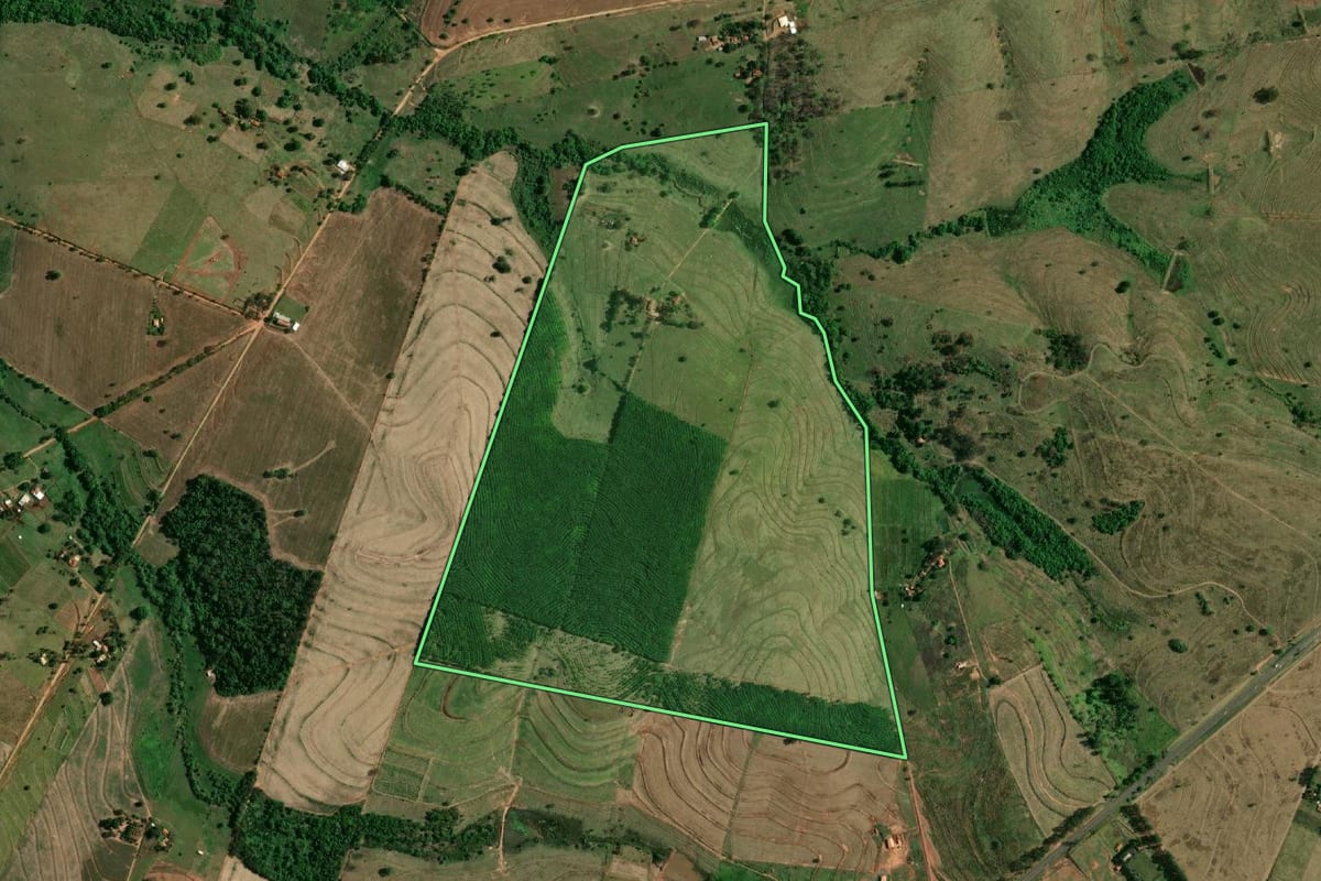 Imagem de satélite do imóvel rural em Birigui (SP), com o contorno declarado no CAR desenhado por cima.