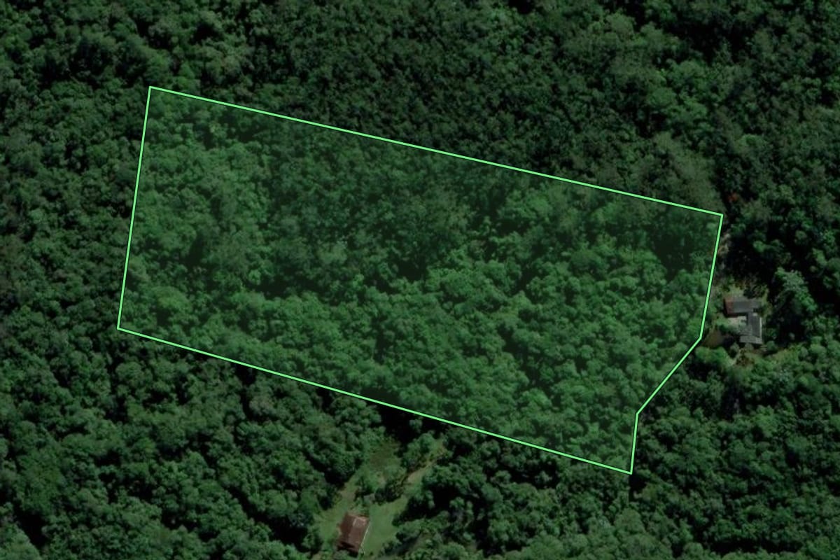 Imagem de satélite do imóvel rural em Biritiba Mirim (SP), com o contorno declarado no CAR desenhado por cima.