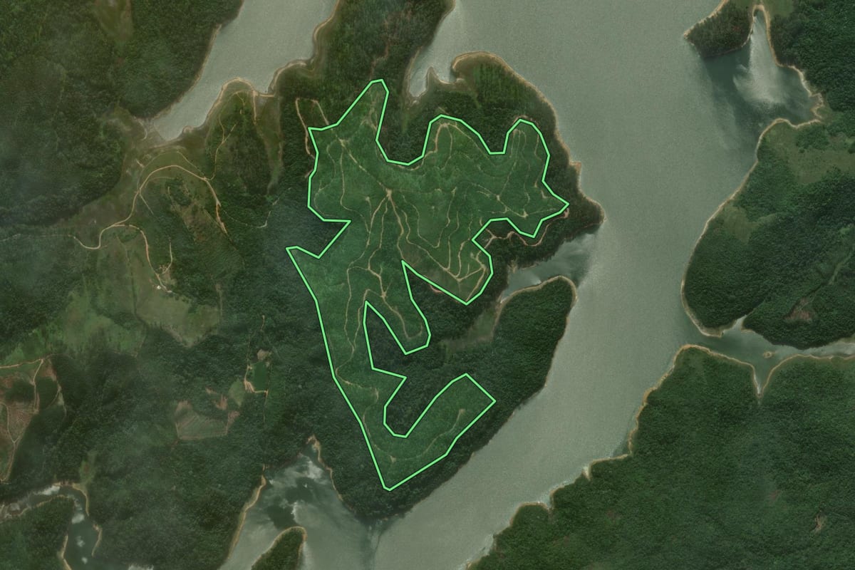 Imagem de satélite do imóvel rural em Biritiba Mirim (SP), com o contorno declarado no CAR desenhado por cima.